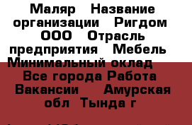 Маляр › Название организации ­ Ригдом, ООО › Отрасль предприятия ­ Мебель › Минимальный оклад ­ 1 - Все города Работа » Вакансии   . Амурская обл.,Тында г.